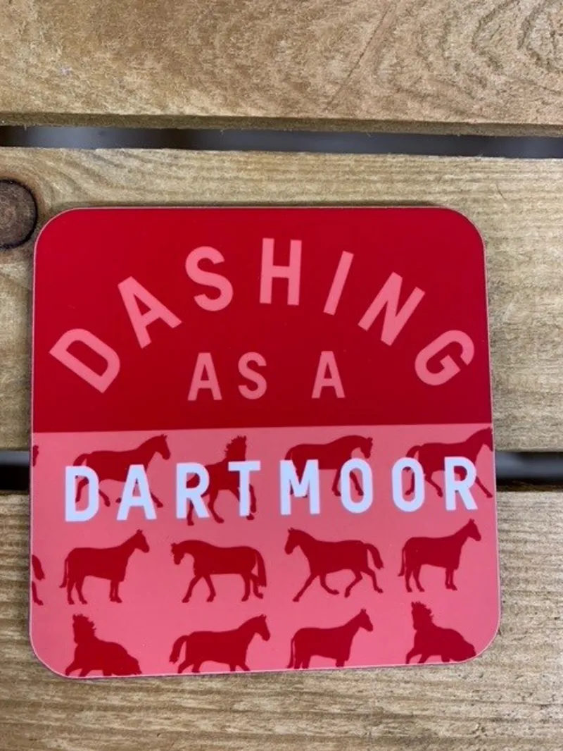 Gubblecote Dashing as a Dartmoor Coaster-1